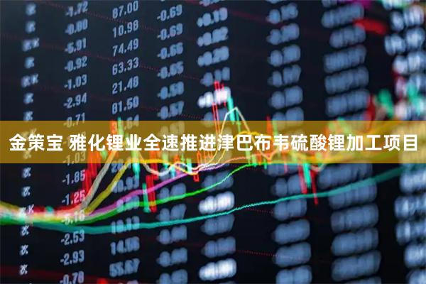 金策宝 雅化锂业全速推进津巴布韦硫酸锂加工项目