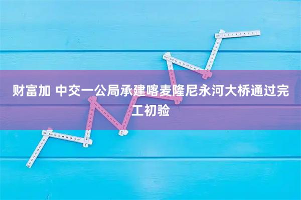财富加 中交一公局承建喀麦隆尼永河大桥通过完工初验